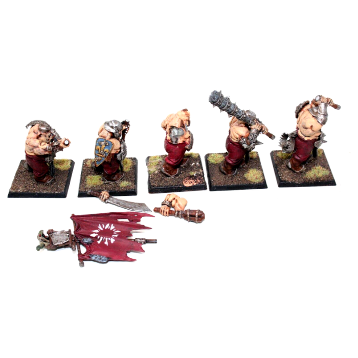 Warhammer Ogre Kingdoms Ironguts Well Painted JYS8