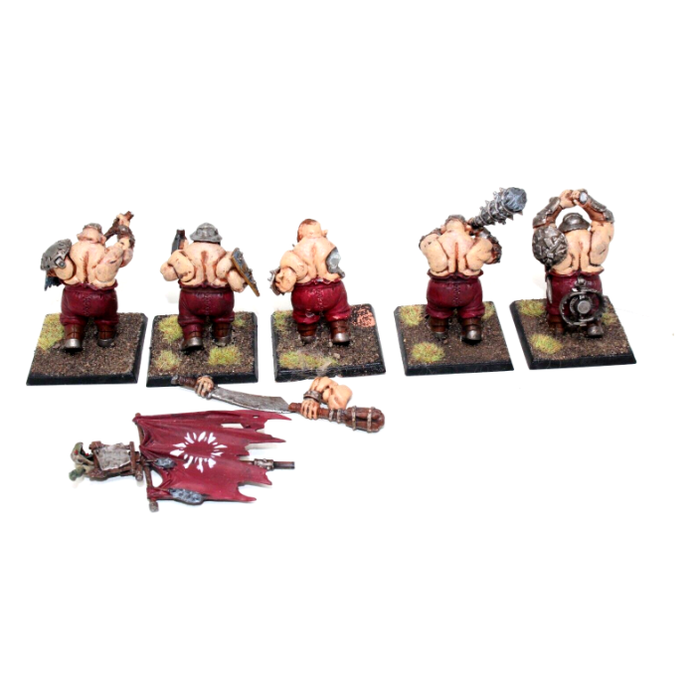 Warhammer Ogre Kingdoms Ironguts Well Painted JYS8