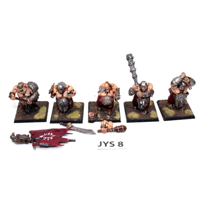 Warhammer Ogre Kingdoms Ironguts Well Painted JYS8