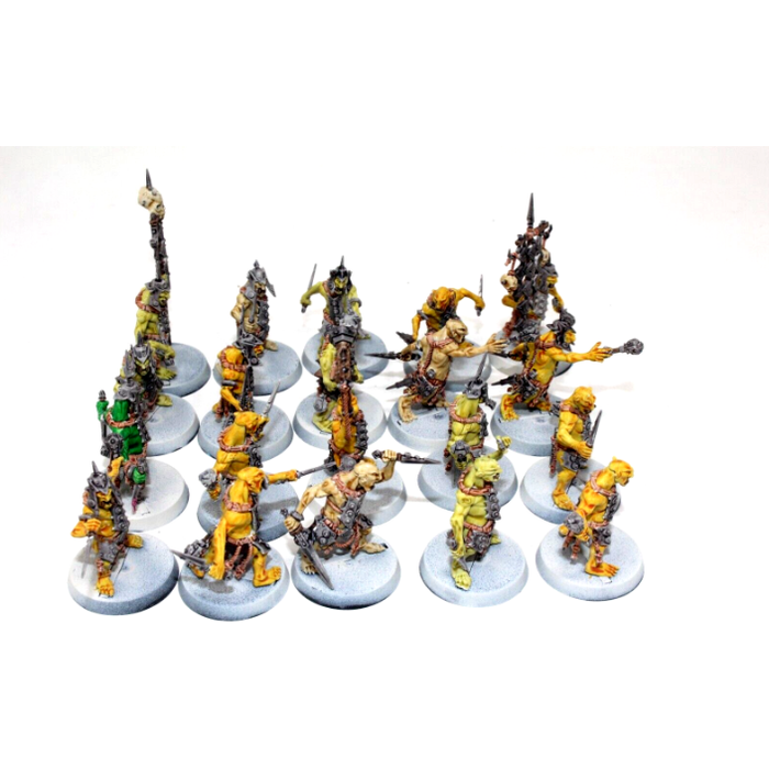 Warhammer Orcs and Goblins Kruelboyz Hobgrot Slittaz Well Painted A8