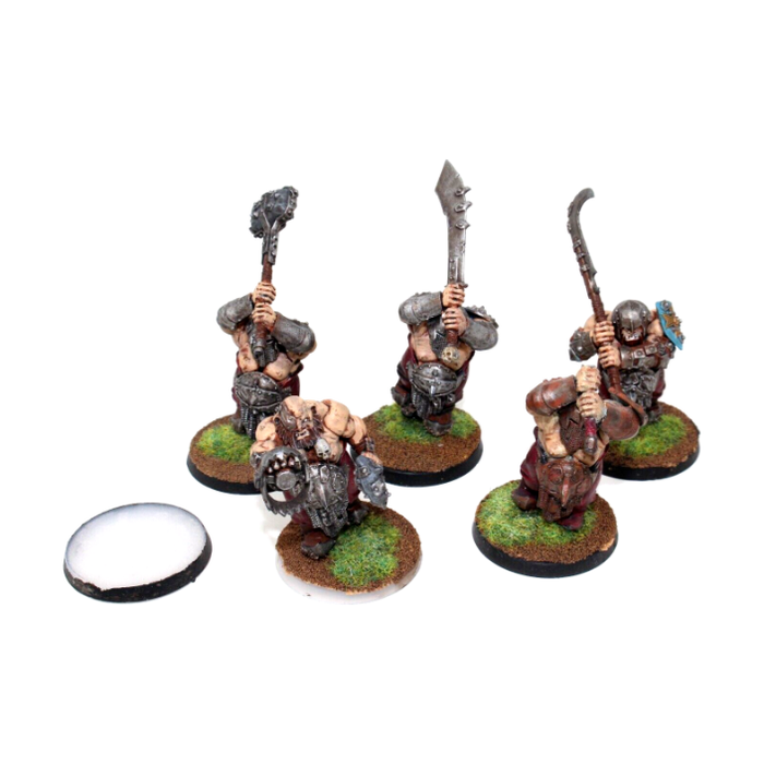 Warhammer Ogre Kingdoms Ironguts Well Painted JYS9