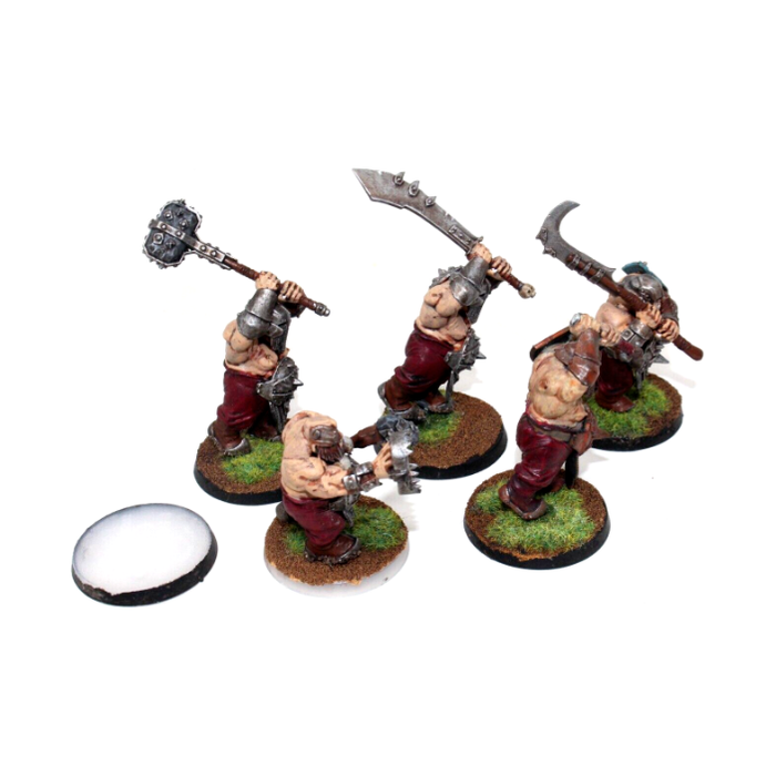 Warhammer Ogre Kingdoms Ironguts Well Painted JYS9