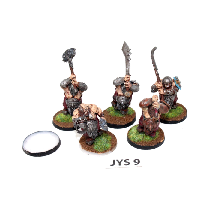 Warhammer Ogre Kingdoms Ironguts Well Painted JYS9