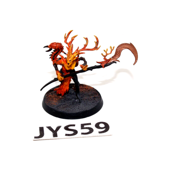 Warhammer Wood Elves Sylvaneth Branch Wych JYS59