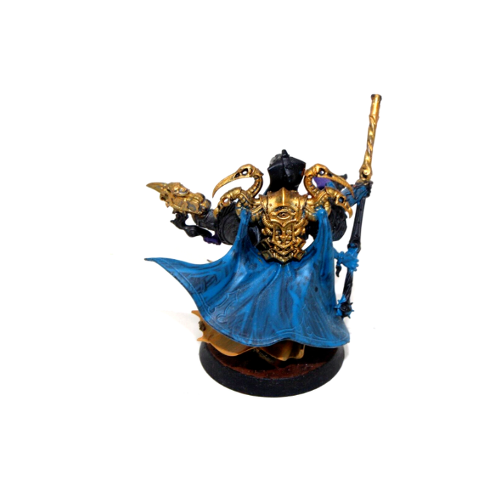 Warhammer Thousand Sons Custom Hero Well Painted A9