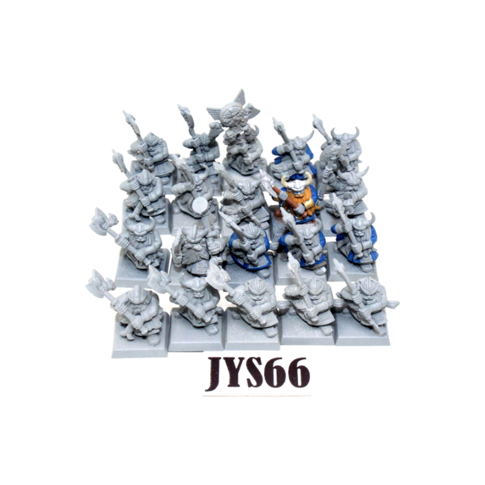 Warhammer Dwarves Dwarf Warriors JYS66