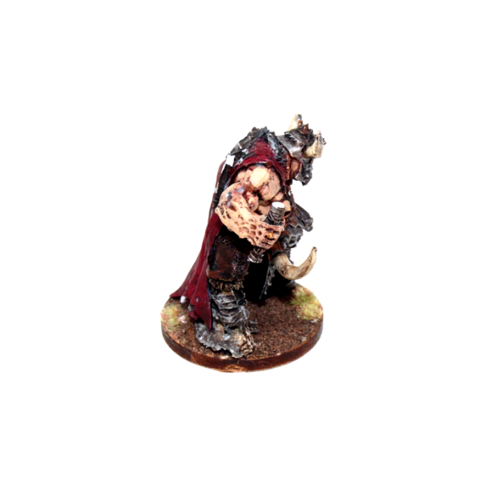 Warhammer Ogre Kingdoms Tyrant Well Painted JYS10