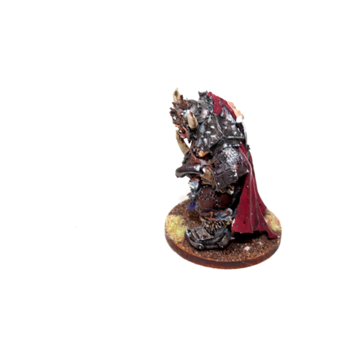 Warhammer Ogre Kingdoms Tyrant Well Painted JYS10