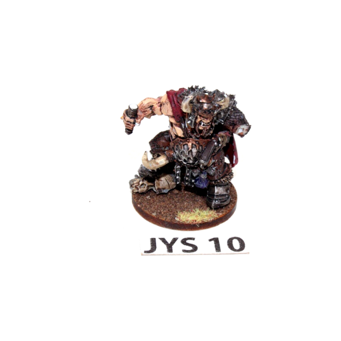 Warhammer Ogre Kingdoms Tyrant Well Painted JYS10