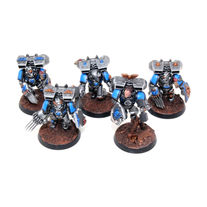 Warhammer Space Marines Vanguard Veterans Well Painted A17