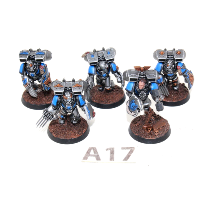 Warhammer Space Marines Vanguard Veterans Well Painted A17