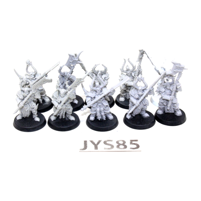 Warhammer Warriors of Chaos Chaos Chosen JYS85 - Tistaminis