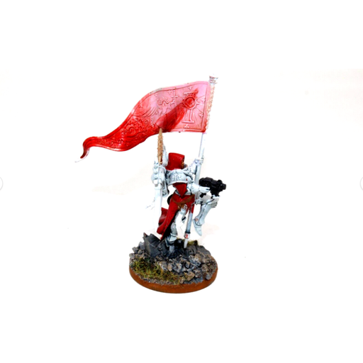 Warhammer Sisters of Battle Zephyrim Squad Standard Bearer Well Painted JYS74 - Tistaminis