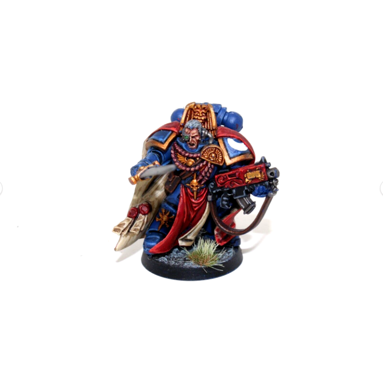 Warhammer Space Marines Captain Well Painted JYS74 - Tistaminis