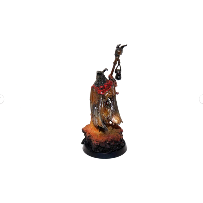 Warhammer Beasts of Chaos Great-Bray Shaman Well Painted JYS30 - Tistaminis