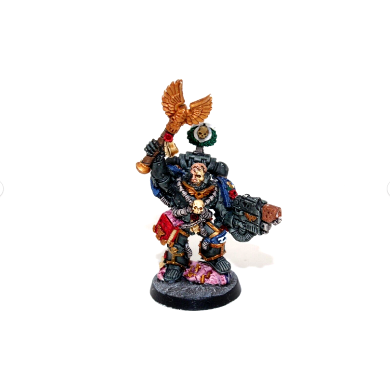 Warhammer Space Marines Chaplain Cassius Well Painted JYS74 - Tistaminis