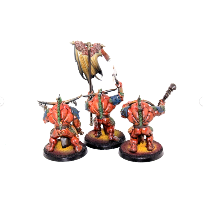 Warhammer Beasts of Chaos Bullgors Well Painted JYS31 - Tistaminis