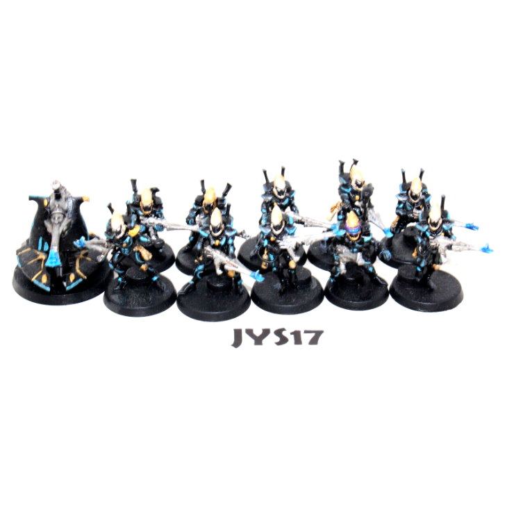 Warhammer Eldar Guardians JYS17 - Tistaminis