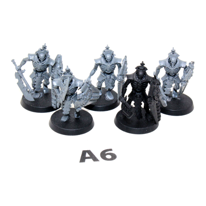 Warhammer Necrons Lychguard A6