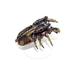 Warhammer Necrons Canoptek Spider Well Painted JYS68 - Tistaminis