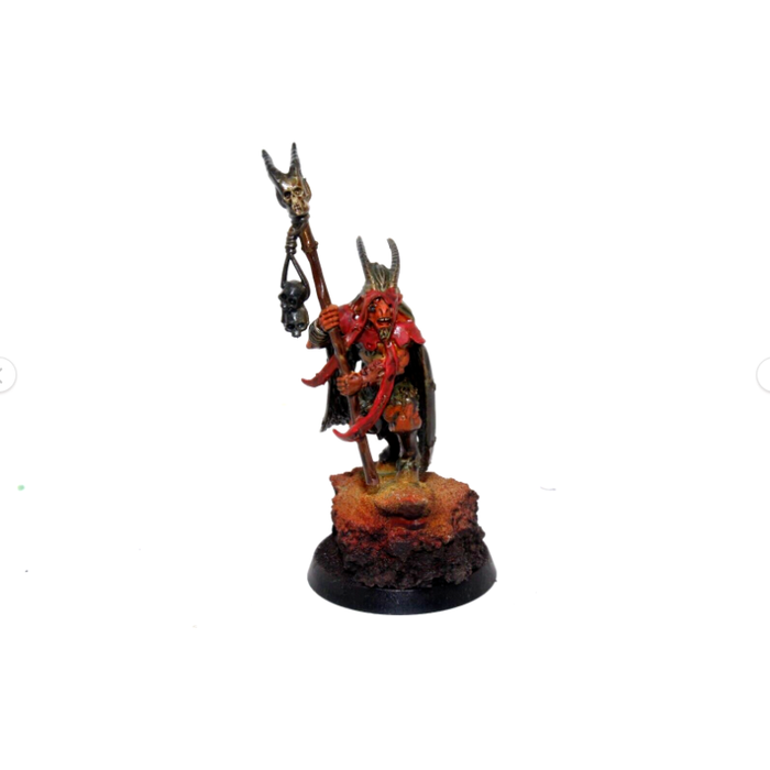 Warhammer Beasts of Chaos Great-Bray Shaman Well Painted JYS31 - Tistaminis