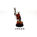 Warhammer Beasts of Chaos Great-Bray Shaman Well Painted JYS31 - Tistaminis