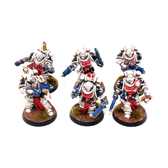 Warhammer Space Marines Sternguard Veterans Well Painted JYS69