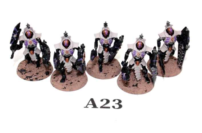 Warhammer Necrons Lychguard A23