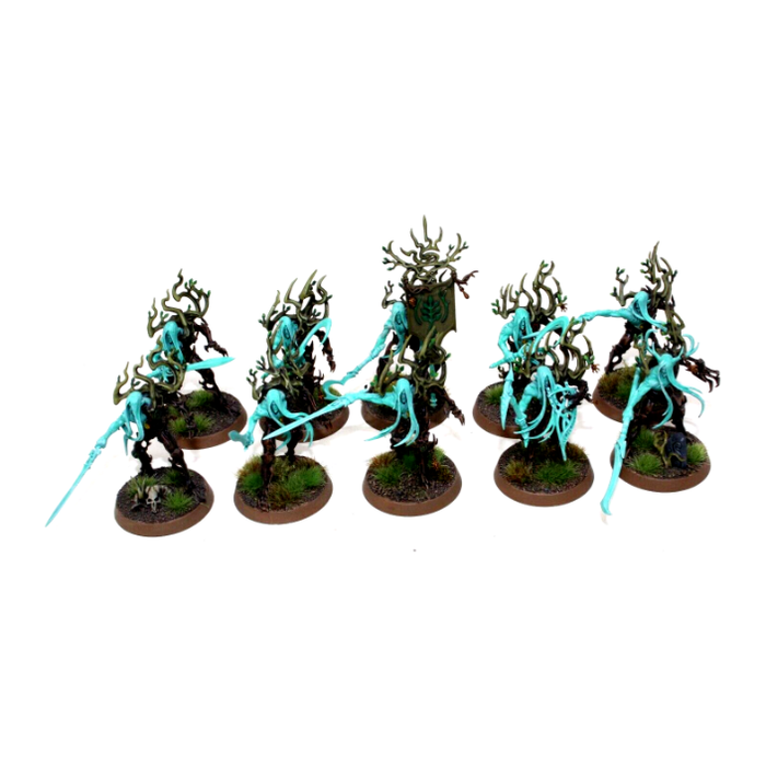 Warhammer Wood Elves Sylvaneth Tree Revenants Well Painted JYS70