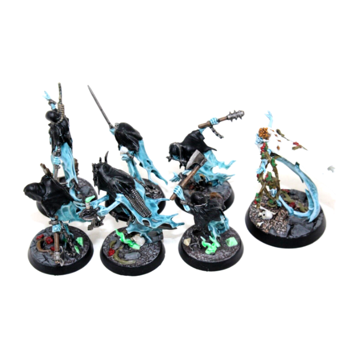 Warhammer Vampire Counts Nighthaunt Thorns of the Briar Queen Well Painted JYS16