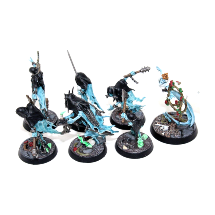 Warhammer Vampire Counts Nighthaunt Thorns of the Briar Queen Well Painted JYS16