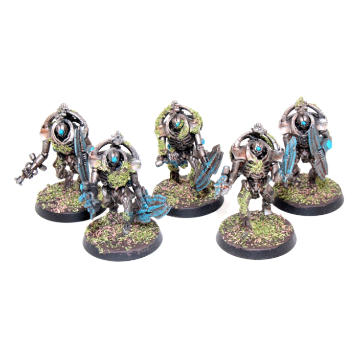 Warhammer Necrons Lychguard Well Painted JYS71 - Tistaminis