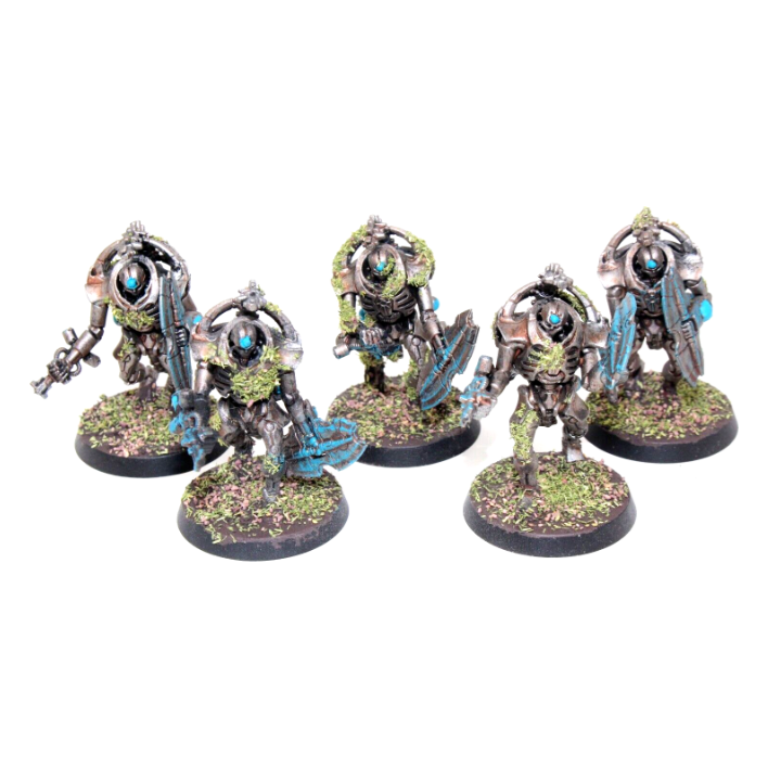 Warhammer Necrons Lychguard Well Painted JYS71 - Tistaminis