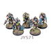 Warhammer Necrons Lychguard Well Painted JYS71 - Tistaminis