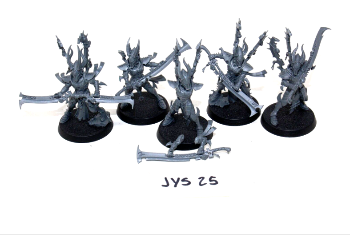 Warhammer Dark Eldar Incubi JYS25