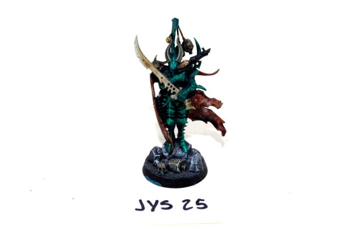 Warhammer Dark Eldar Archon Well Painted JYS25