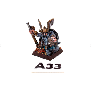 Warhammer Dwarves Warden King Well Painted A33 - Tistaminis