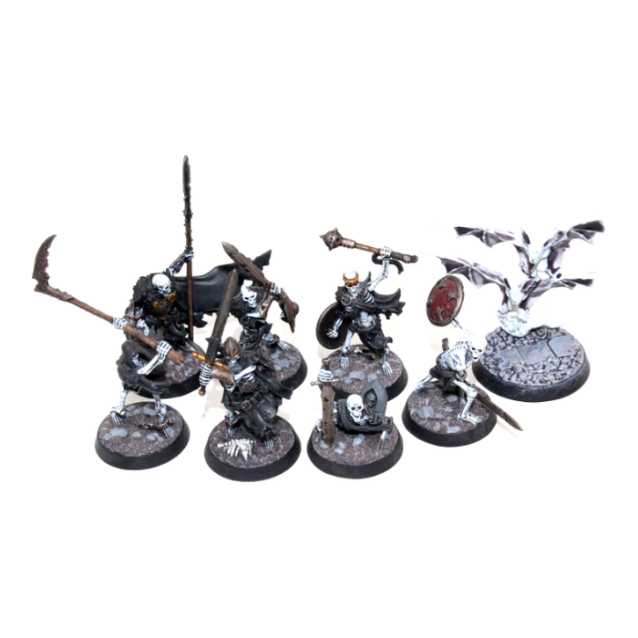 Warhammer Vampire Counts The Sepulcural Guard Well Painted JYS17