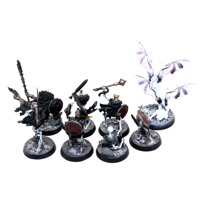 Warhammer Vampire Counts The Sepulcural Guard Well Painted JYS17