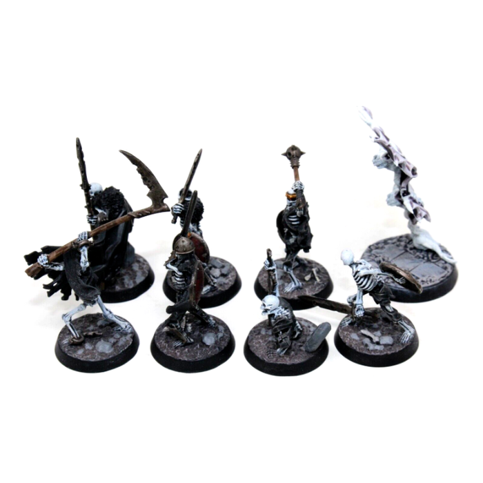 Warhammer Vampire Counts The Sepulcural Guard Well Painted JYS17