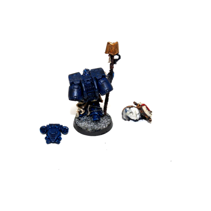 Warhammer Space Marines Librarian Well Painted Metal Magnetized A38 - Tistaminis