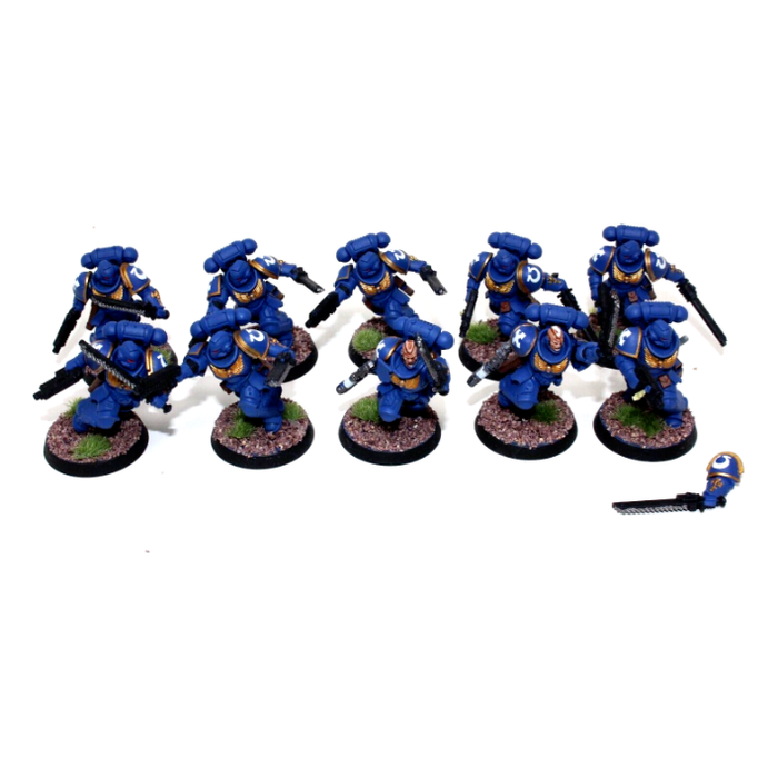 Warhammer Space Marines Primaris Assault Intersessors Well Painted JYS1 - Tistaminis