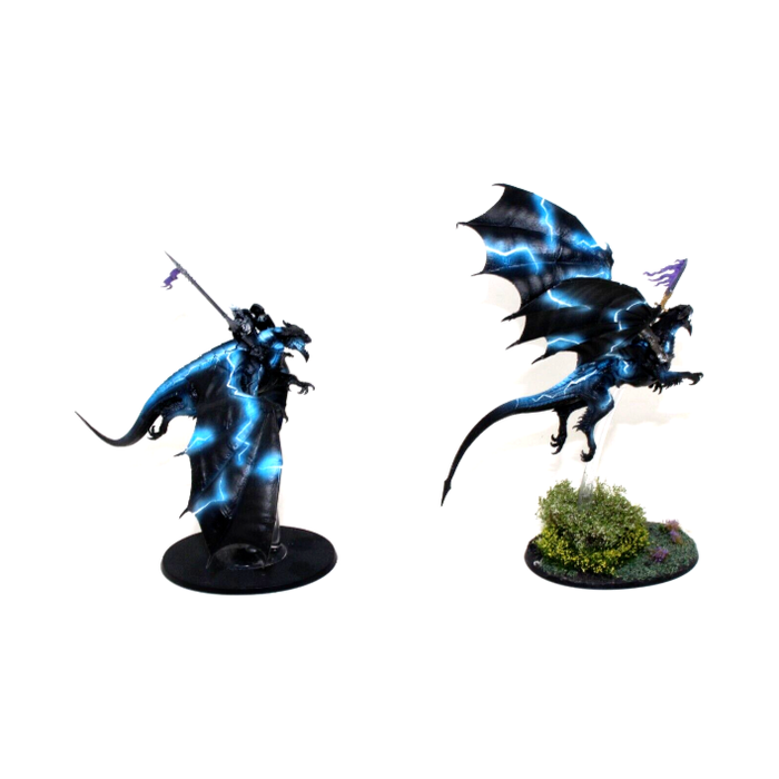 Warhammer Stormcast Eternals Stormdrake Guard Well Painted ULN1
