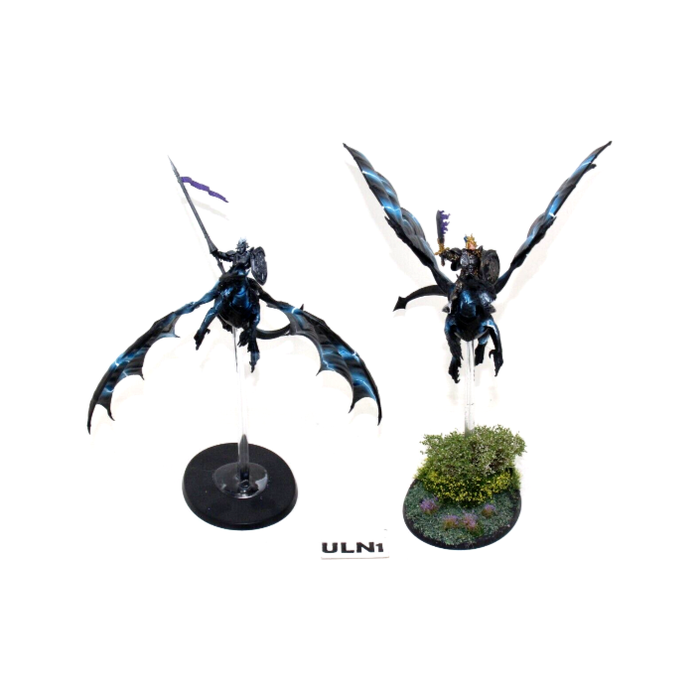Warhammer Stormcast Eternals Stormdrake Guard Well Painted ULN1