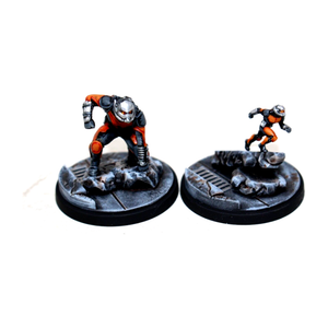 Marvel Crisis Protocol Ant Man and Wasp Well Painted - Tistaminis