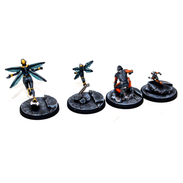 Marvel Crisis Protocol Ant Man and Wasp Well Painted - Tistaminis