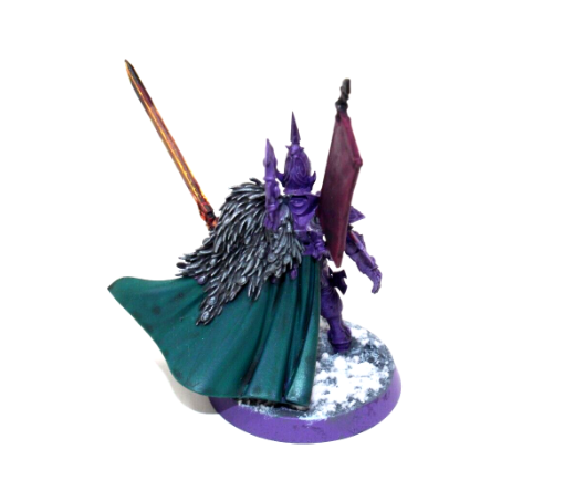 Warhammer Eldar The Visarch Well Painted JYS42