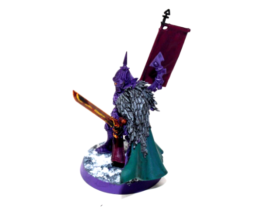 Warhammer Eldar The Visarch Well Painted JYS42