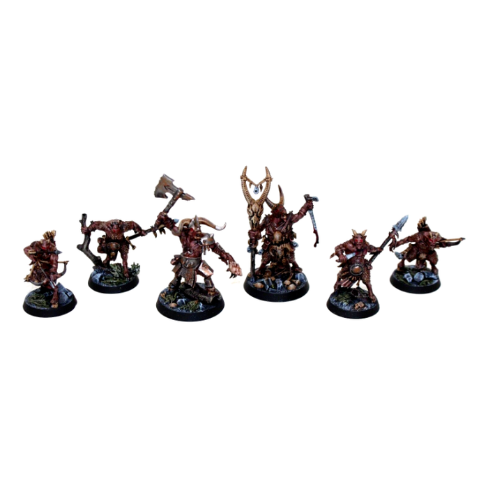 Warhammer Shadespire Beastmen Grashrak’s Despoilers - Tistaminis