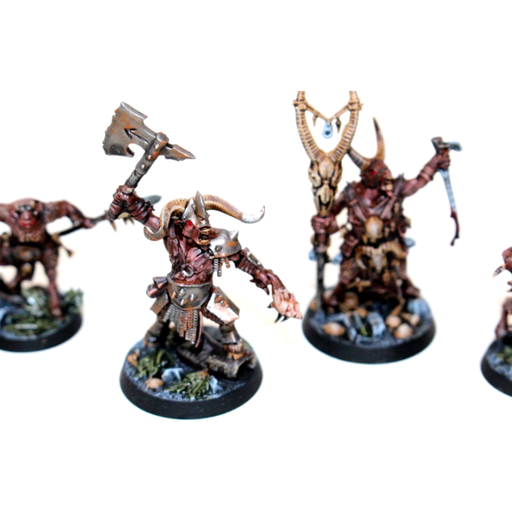 Warhammer Shadespire Beastmen Grashrak’s Despoilers - Tistaminis